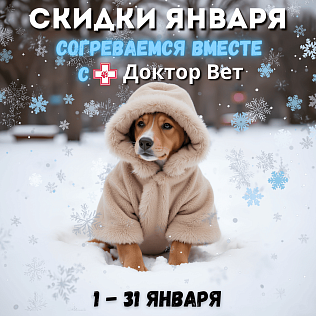Согреваемся вместе с «Доктор Вет»!